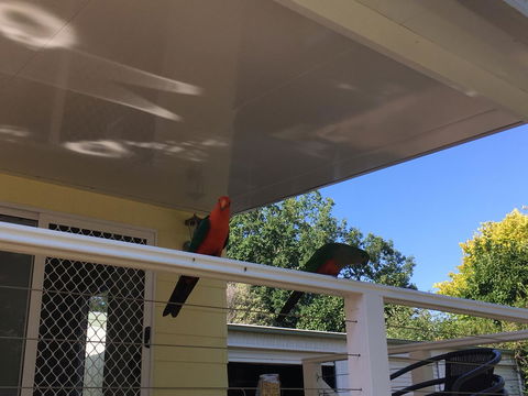 The Best Exotic Magnolia Cottage - Accommodation Port Hedland 11