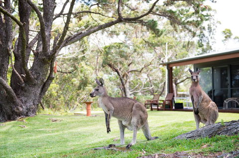 By The Beach B&B Self Contained Apartments - Accommodation Port Hedland 17