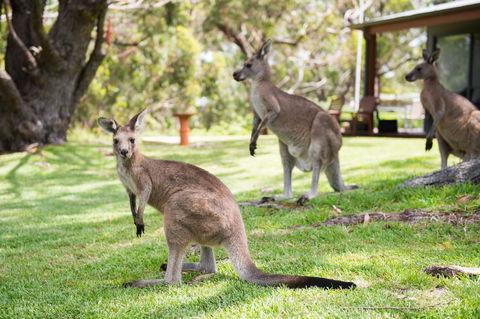 By The Beach B&B Self Contained Apartments - Accommodation Port Hedland 16