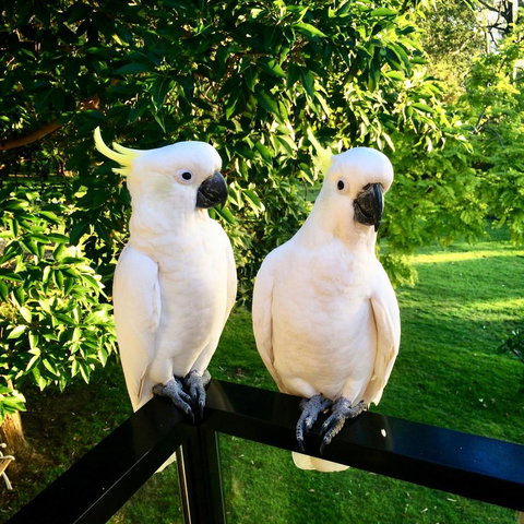 The Retreat At Palm Beach - Accommodation Port Hedland 17