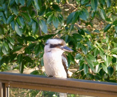 The Retreat At Palm Beach - Accommodation Port Hedland 18