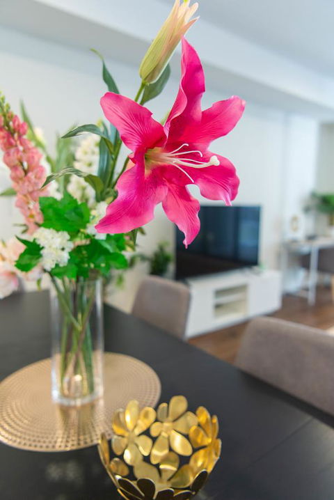 Sydney CBD Brand New Apartments With Hyde Park View - Accommodation Port Hedland 6