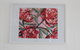 Red Waratah - thumb 4