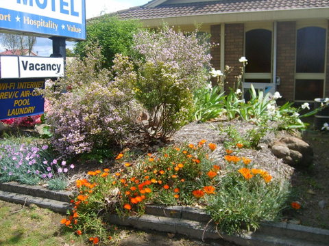Albury City Motel - Accommodation Port Hedland 29