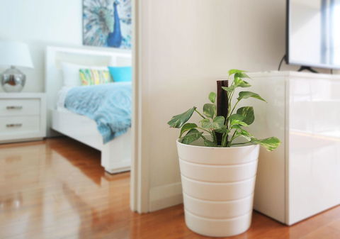 Sydney Apartment Close To Airport & CBD - Accommodation Port Hedland 7