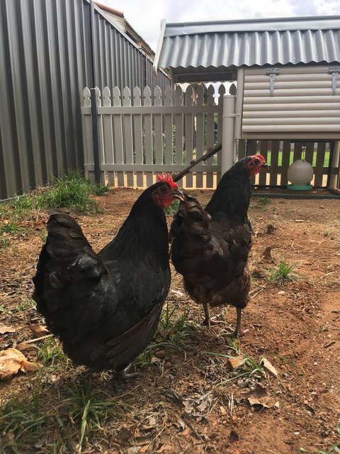 Thelma's Temora - Accommodation Port Hedland 13