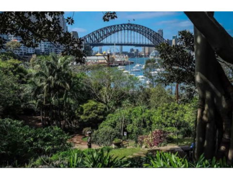 North Sydney Historic Whalers Cottage - Accommodation Port Hedland 12