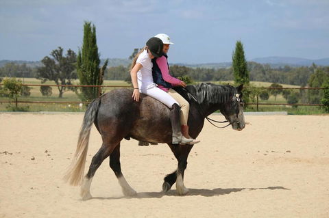 Belisi Farmstay Cottage - Accommodation Port Hedland 28