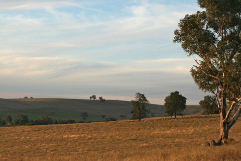 Belisi Farmstay Cottage - Accommodation Port Hedland 33