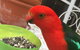 Bundanoon Lodge - thumb 5