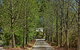 Bundanoon Lodge - thumb 12