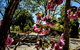 Bundanoon Lodge - thumb 3
