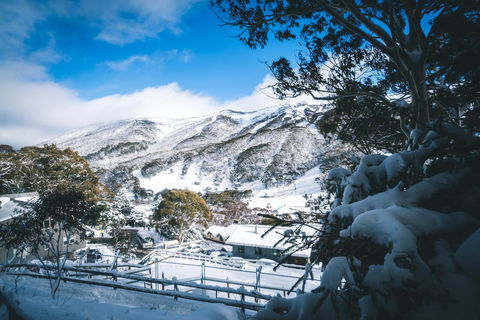 Pure Chalet Thredbo - Accommodation Port Hedland 31