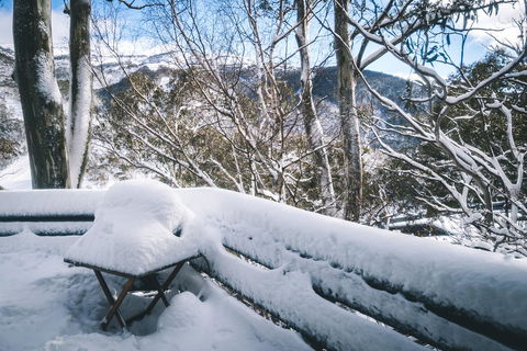 Pure Chalet Thredbo - Accommodation Port Hedland 19