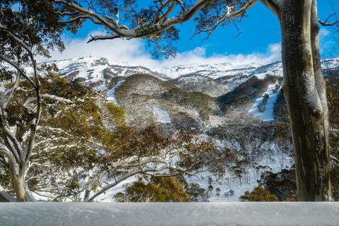 Pure Chalet Thredbo - Accommodation Port Hedland 17