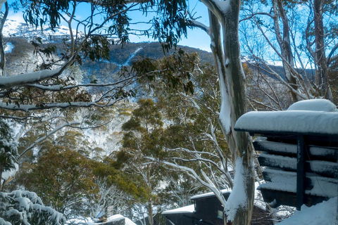 Pure Chalet Thredbo - Accommodation Port Hedland 30