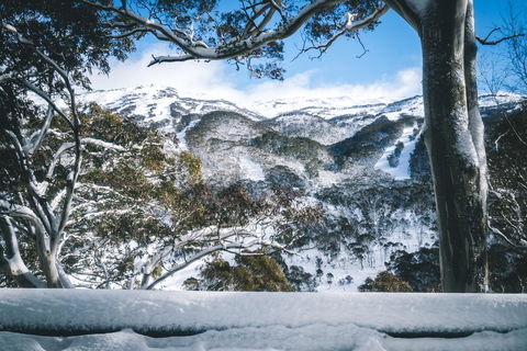 Pure Chalet Thredbo - Accommodation Port Hedland 2