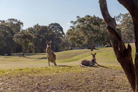 Horizons Retreat & Golf, Villa 133 - Accommodation Port Hedland 18