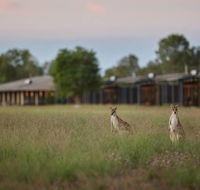 Wildman Wilderness Lodge - Accommodation Port Hedland
