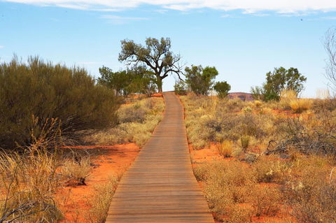 Discovery Resorts - Kings Canyon - Accommodation Port Hedland 27