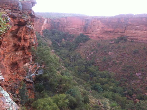 Discovery Resorts - Kings Canyon - Accommodation Port Hedland 34