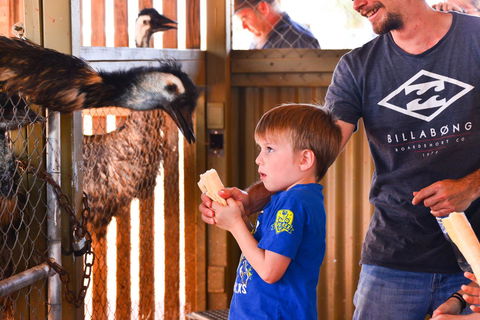 Erldunda Desert Oaks Resort - Accommodation Port Hedland 13