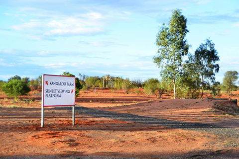 Erldunda Desert Oaks Resort - Accommodation Port Hedland 28