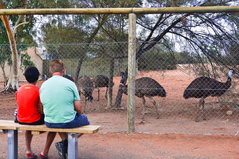 Erldunda Desert Oaks Resort - Accommodation Port Hedland 21