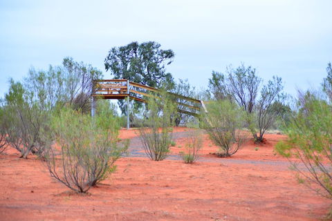 Erldunda Desert Oaks Resort - Accommodation Port Hedland 42