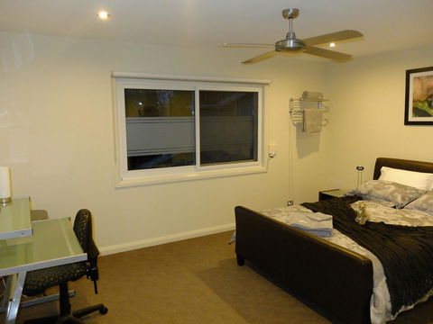 Rock Wallaby - Accommodation Port Hedland 6