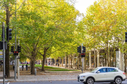 Highgate Executive Apartment City Walk Canberra - Accommodation Port Hedland 37