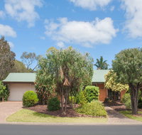 Bottlebrush - Accommodation Port Hedland