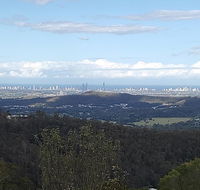 Bottletree Gardens - Mini Manson Blue - Accommodation Port Hedland