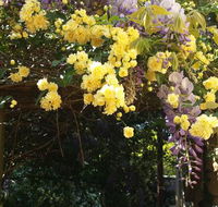 Bowral Road Bed and Breakfast - Accommodation Port Hedland