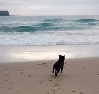 Breakers at Mudjimba Beach - Accommodation Port Hedland