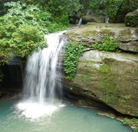 Buderim Forest Hideaway - Accommodation Port Hedland