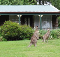 Cedar Lodge Cabins - Accommodation Port Hedland