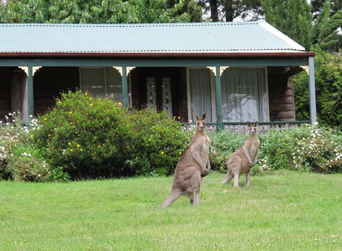 Cedar Lodge Cabins - Accommodation Port Hedland 0