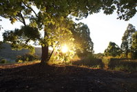 Book Possum Brush Accommodation Vacations Accommodation Port Hedland Accommodation Port Hedland