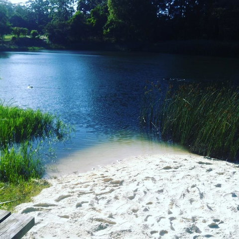 Cloudlake Mountain Retreat - Accommodation Port Hedland 3