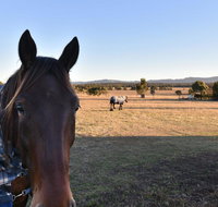 Clydesdale Cottage on Talga with real Clydesdale Horses - Accommodation Port Hedland