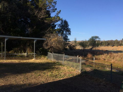 Cockatoo Corner - Armidale - Accommodation Port Hedland 1