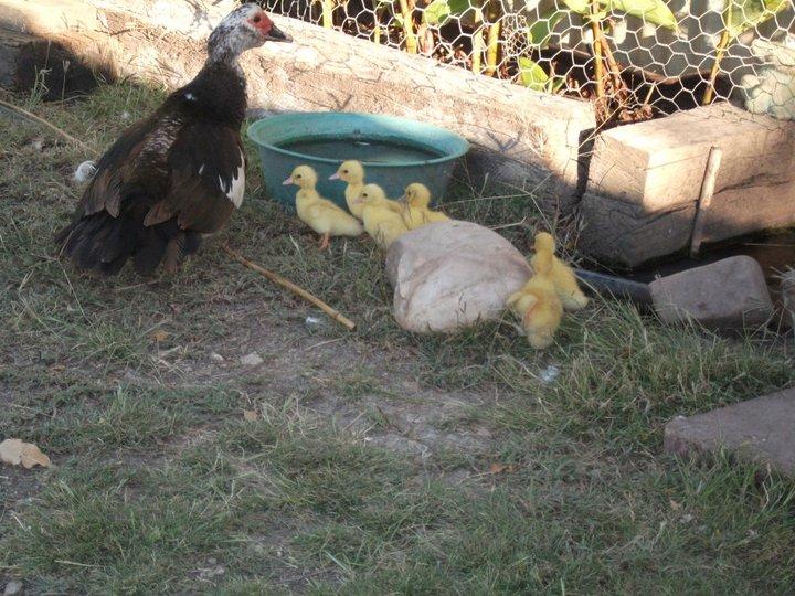 Maxwelton QLD Accommodation Port Hedland