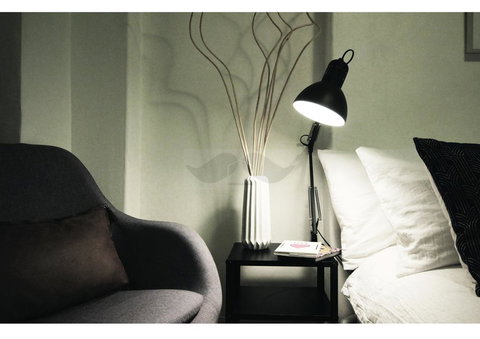 Cosy Home In The Heart Of Sydney - Accommodation Port Hedland 3