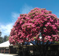 Crossways Country Inn - Accommodation Port Hedland