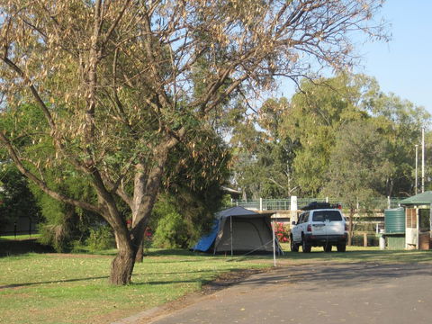 Dalby Tourist Park - Accommodation Port Hedland 3