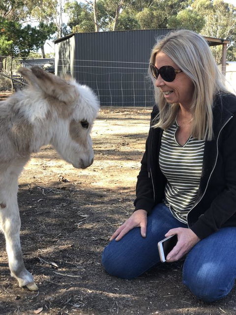 Donkey Tales Farm Cottages - Accommodation Port Hedland 1