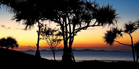 Driftwood Motel And Holiday Units - Accommodation Port Hedland 2