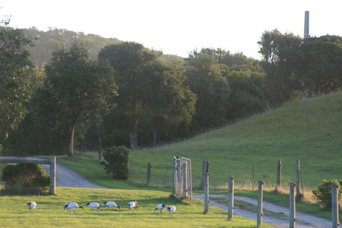 Driftwood Villas - Accommodation Port Hedland 1