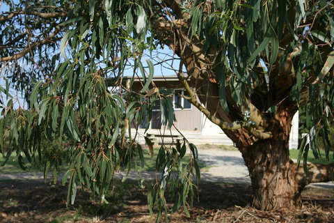 Driftwood Villas - Accommodation Port Hedland 3